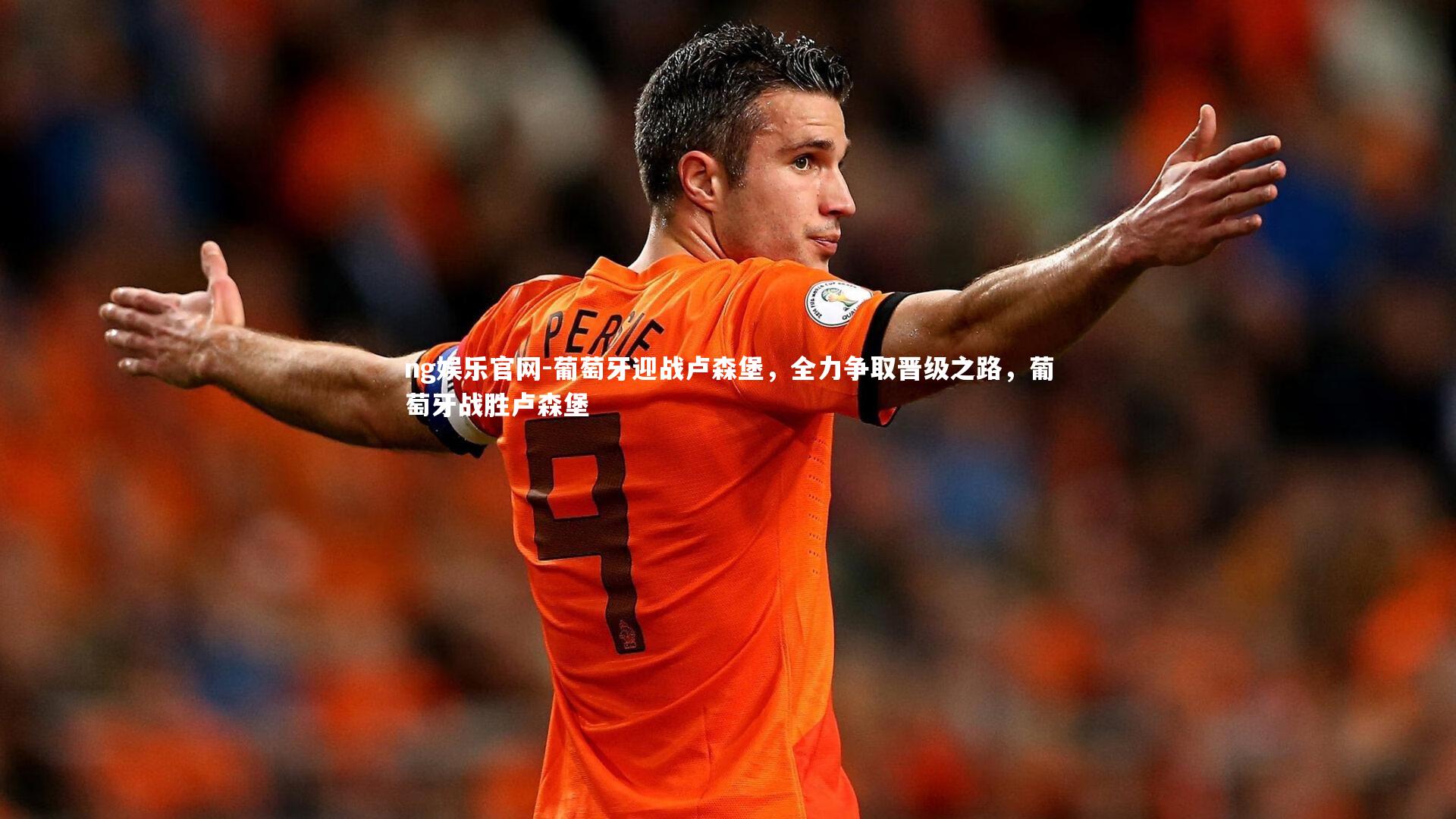 葡萄牙迎战卢森堡，全力争取晋级之路，葡萄牙战胜卢森堡