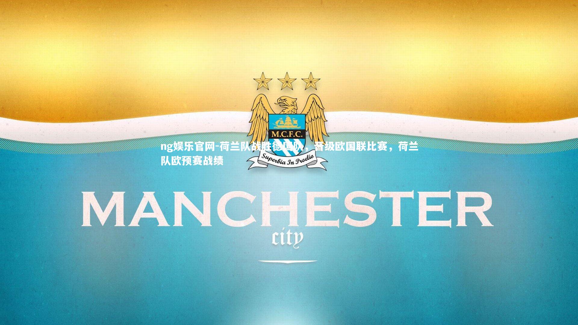 荷兰队战胜德国队，晋级欧国联比赛，荷兰队欧预赛战绩